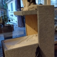 Photo jointe à l’avis