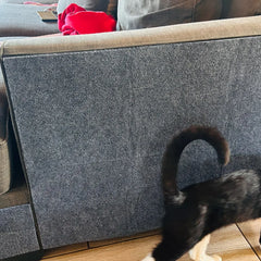 Photo jointe à l’avis