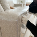 Patte de chat posée sur le film transparent qui recouvre l'accoudoir d'un canapé en lin (image générée par IA)