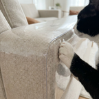 Patte de chat posée sur le film transparent qui recouvre l'accoudoir d'un canapé en lin (image générée par IA)